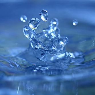 Ipsam maxime consequatur