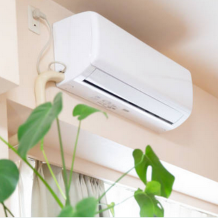 First Climate Company работы